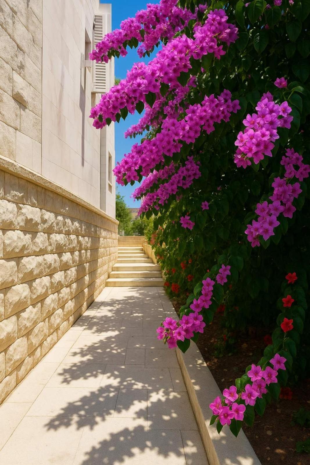 Apartments Villa Mirjana Budva Exterior photo